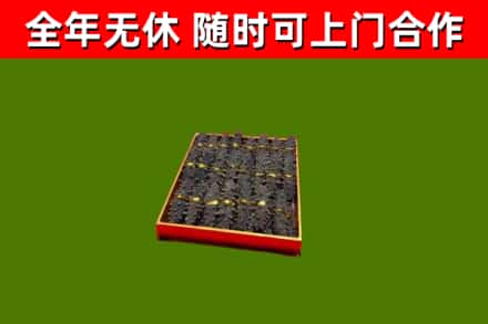 邱市回收海参